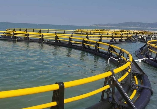 Fish farming